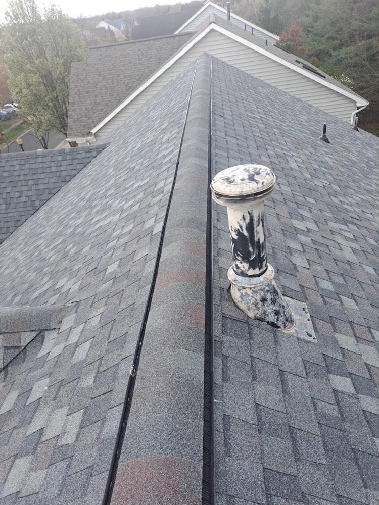 New shingle roof